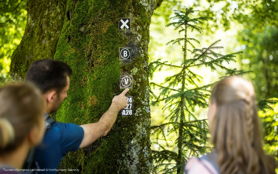 Wanderwegezeichen Wanderwegezeichen