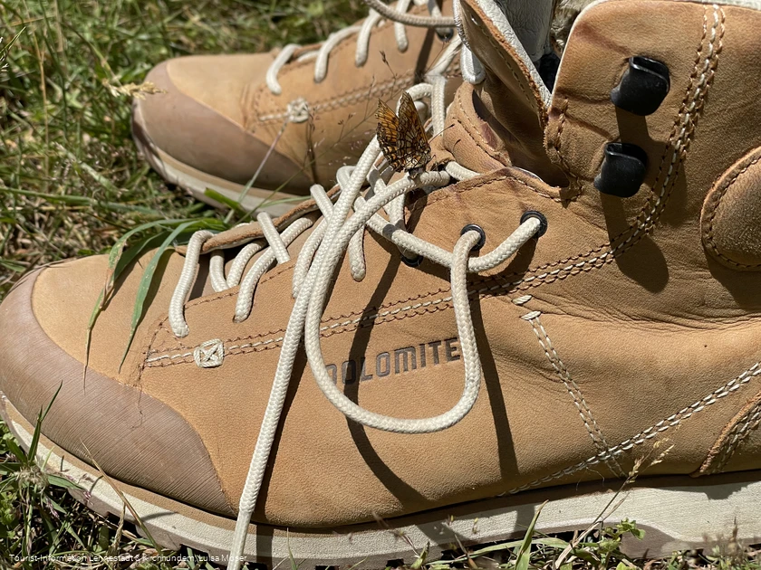 Wanderschuh mit Schmetterling Wanderschuh mit Schmetterling