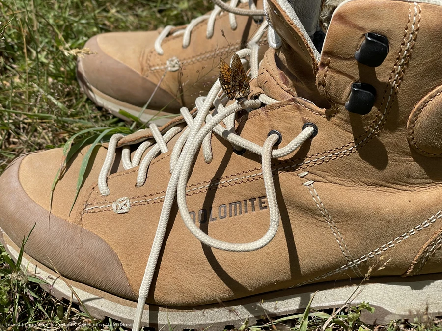 Wanderschuh mit Schmetterling Wanderschuh mit Schmetterling